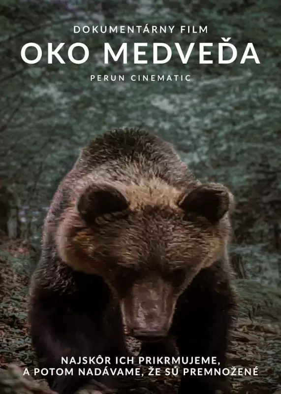 Oko Medveďa – poster